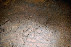 DSCN6979