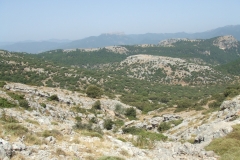 DSCF7094