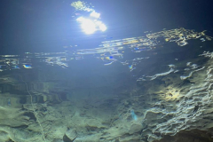 IMG-20240603-WA0050