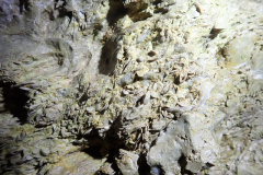 IMG-20240729-WA0016