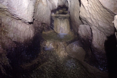 IMG-20240729-WA0021