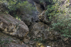 IMG-20240729-WA0032