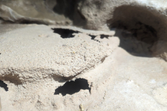 IMG-20240729-WA0044