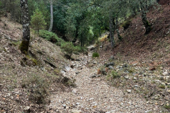 IMG-20251021-WA0025