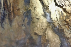 IMG-20210808-WA0054