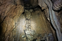 IMG-20220819-WA0017
