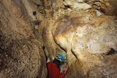 IMG-20220819-WA0018