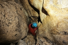 IMG-20220819-WA0021