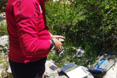 IMG-20240520-WA0018