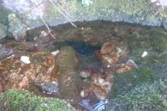 IMG-20200217-WA0001
