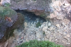 IMG-20200217-WA0003