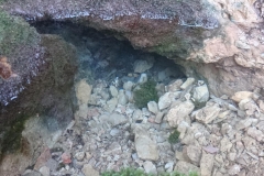 IMG-20200217-WA0007