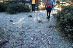 IMG-20230108-WA0008