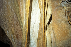 IMG-20230108-WA0015