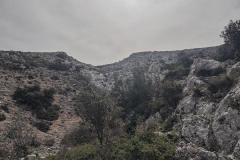 IMG-20240407-WA0020