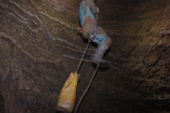 IMG-20240513-WA0016