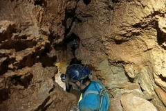 IMG-20220828-WA0014
