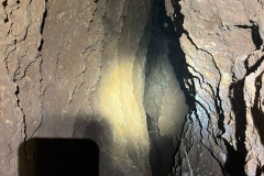 IMG-20220828-WA0019