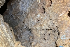 IMG-20220828-WA0020