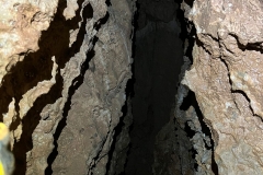 IMG-20220828-WA0027