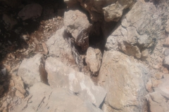 IMG-20180705-WA0018