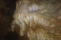 IMG-20180809-WA0005