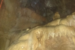 IMG-20180809-WA0006