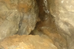 IMG-20181014-WA0013