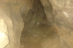 IMG-20181014-WA0014