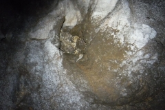 IMG-20190421-WA0008
