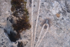 IMG-20190414-WA0032