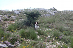 IMG-20240513-WA0020