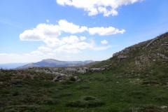 IMG-20240513-WA0021