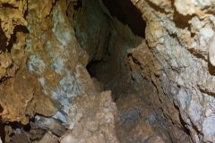 IMG-20210407-WA0045