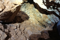 IMG-20210407-WA0046