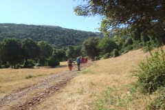 DSCF0633