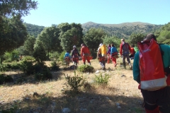DSCF0635