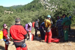 DSCF0643