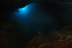 DSCF7831