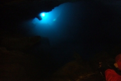 DSCF7833