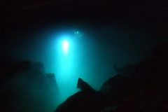 DSCF7837