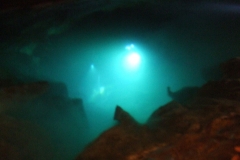 DSCF7838