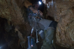 IMG-20211107-WA0014