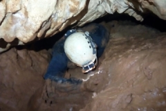 IMG-20211107-WA0016