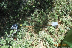 DSCN0382