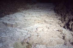 IMG-20220201-WA0044