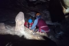 IMG-20220201-WA0075