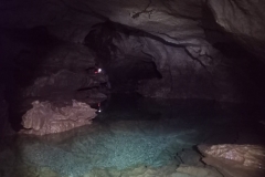 IMG-20220201-WA0098