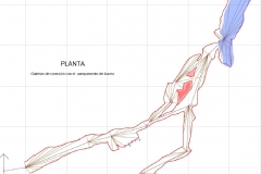 Planta-Campamento-buceo