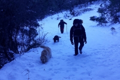 IMG-20210117-WA0037